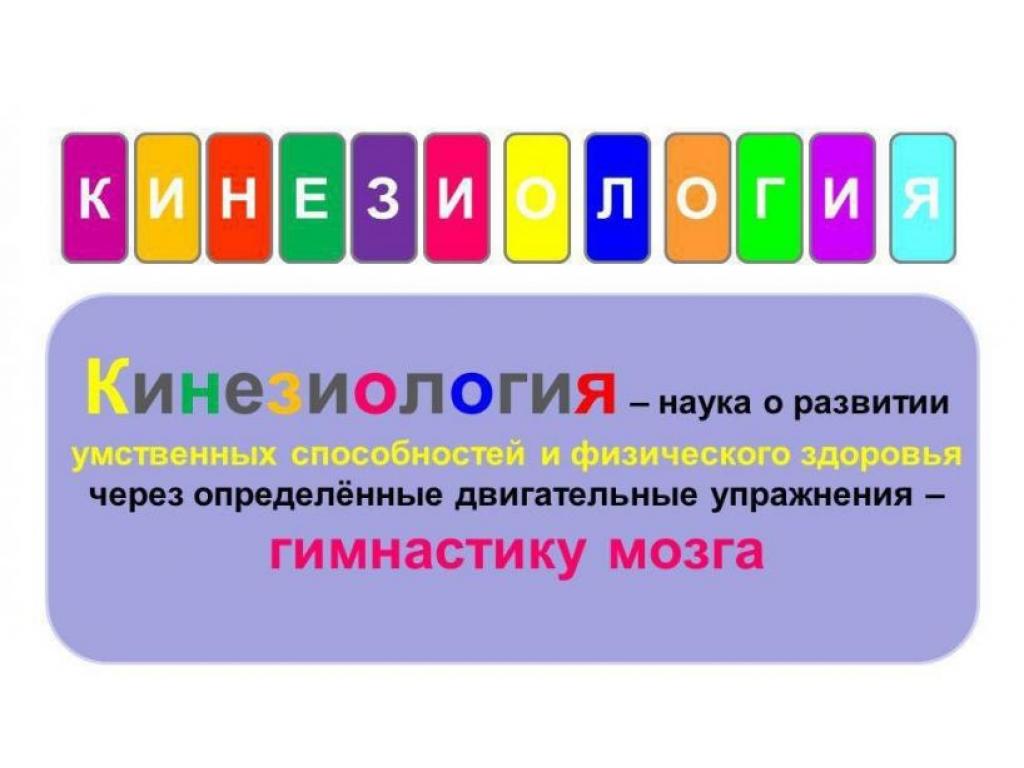 КИНЕЗИОЛОГИЯ #дистанционное обучение